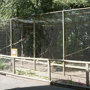 MIXED LEMUR OUTDOOR ENCLOSURE