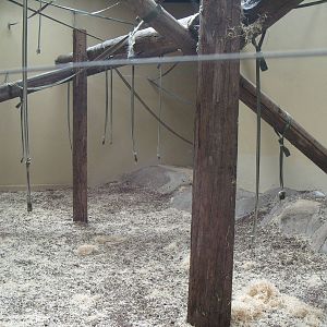 ORANGUTAN INDOOR ENCLOSURE