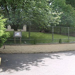 PARMA OR WHITE THROATED WALLABIES ENCLOSURE