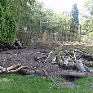 PORCUPINE ENCLOSURE NOT FOR MUCH LONGER
