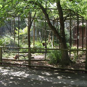 RED RUFFED LEMUR ENCLOSURE