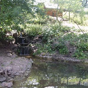 SHORT CLAWED OTTER ENCLOSURE