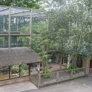 SNOW LEOPARD ENCLOSURE