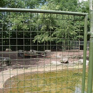 TAPIR, CAPYBARA AND MARA ENCLOSURE