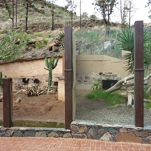 Meerkat (l) and Komodo dragon (r) enclosures
