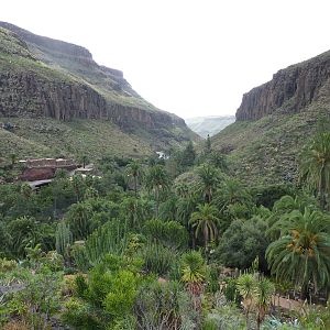View from the Bird of prey stadium