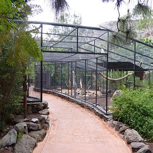 Walk-under cockatoo aviary