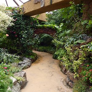 Inside the butterfly house