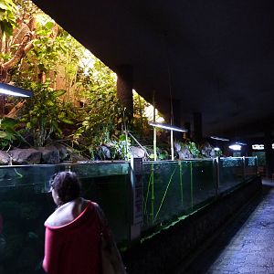 Aquarium