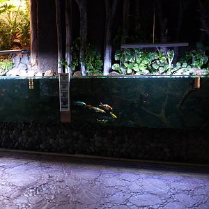 Aquarium