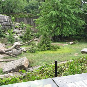 Bronx Zoo 2011 Brown Bear exhibit renovation