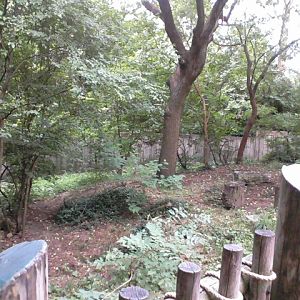 Second Red Panda exhibit