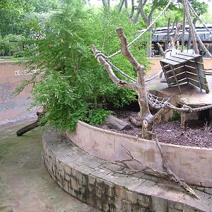 Mandrill Exhibit at Barcelona, 30/05/11