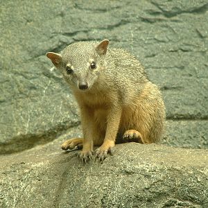 Boky-Boky - July 2011