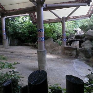 Wildlife Canyon- Second Sumatran Rhino exhibit