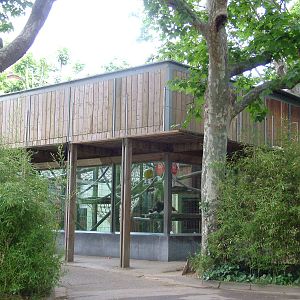 Orang-Utan Exhibit at Barcelona, 30/05/11