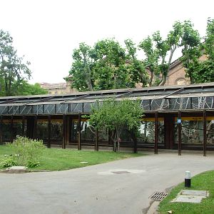 Monkey Exhibits at Barcelona, 30/05/11