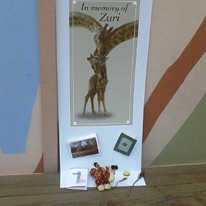 In Memory of Zuri