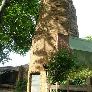 Madagascar Exhibit at Barcelona, 30/05/11