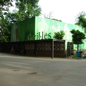 Gorilla Exhibition Building at Barcelona, 30/05/11