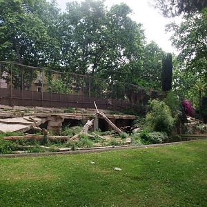 Sumatran Tiger Exhibit at Barcelona, 30/05/11