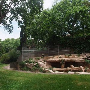 Angolan Lion Exhibit at Barcelona, 30/05/11