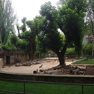 Tapir and Mara Exhibit at Barcelona, 30/05/11