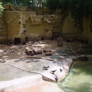 Coypu Exhibit at Barcelona, 30/05/11
