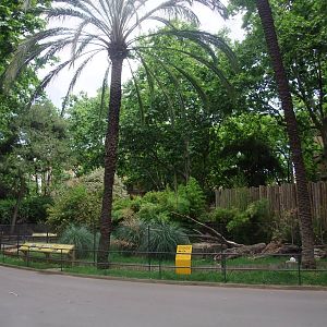 Giant Anteater Exhibit at Barcelona, 30/05/11