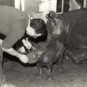 Cincinnati Zoo 1980's