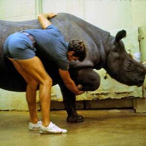 Cincinnati Zoo 1980's