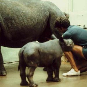 Cincinnati Zoo 1980's