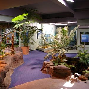 view into the freshwater section