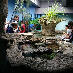 touch tank