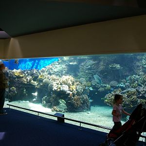 marine tank