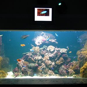 Aquarium