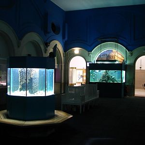 Aquarium
