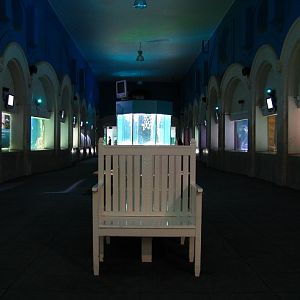 Aquarium