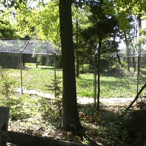 North America- Mexican Wolf exhibit