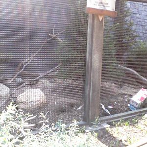 North America- Part of the Arctic Fox exhibit