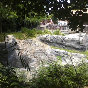 Voyage to Australia and the Islands- Outdoor Komodo Dragon exhibit