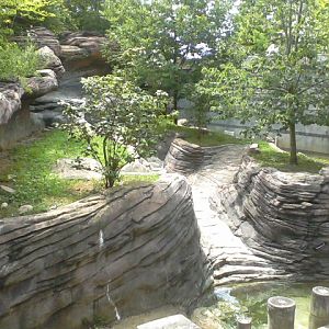 Voyage to Australia and the Islands- Asian Small-clawed Otter exhibit