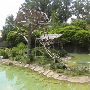 Voyage to Australia and the Islands- Gibbon Rotation Island