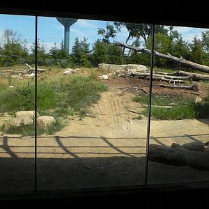 North America- Part of the Brown Bear exhibit