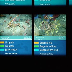 Signage Example at Barcelona Aquarium, 31/05/11