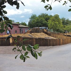 New Meerkat Enclosure - Under Construction