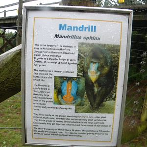 Signage example at SLWAP 16/07/11