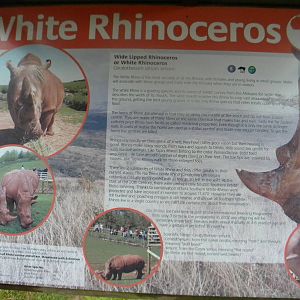 Rhino signage at SLWAP 16/07/11