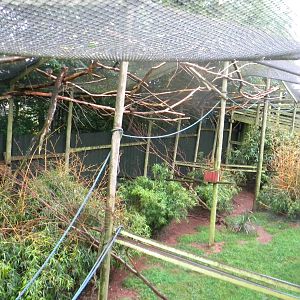 Mixed walk-through enclosure at SLWAP 16/07/11