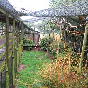 Mixed walk-through enclosure at SLWAP 16/07/11